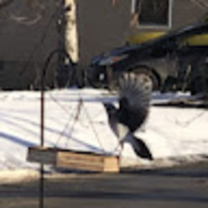 Meet your Posher, Ryan and angie